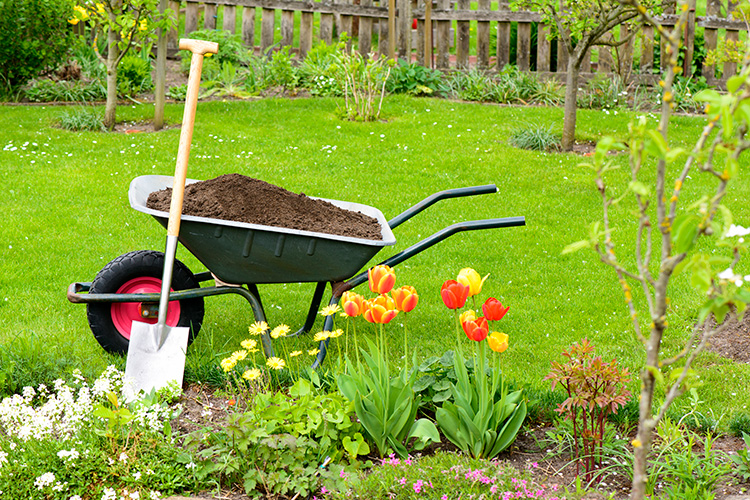 A wheelbarrow full of dirt in a garden.
